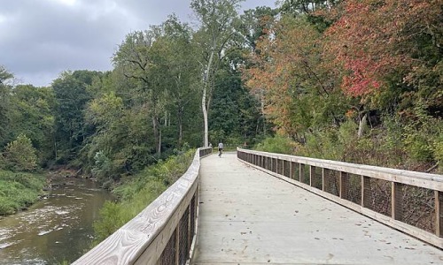 bridge next to river and trees